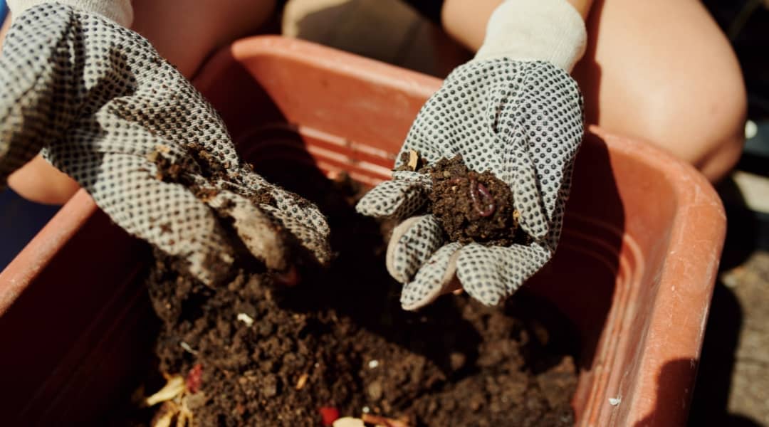 Soil and Fertilizer