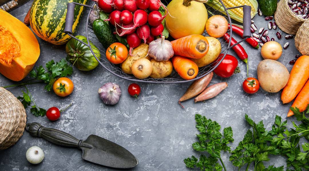 Vegetables and Herbs